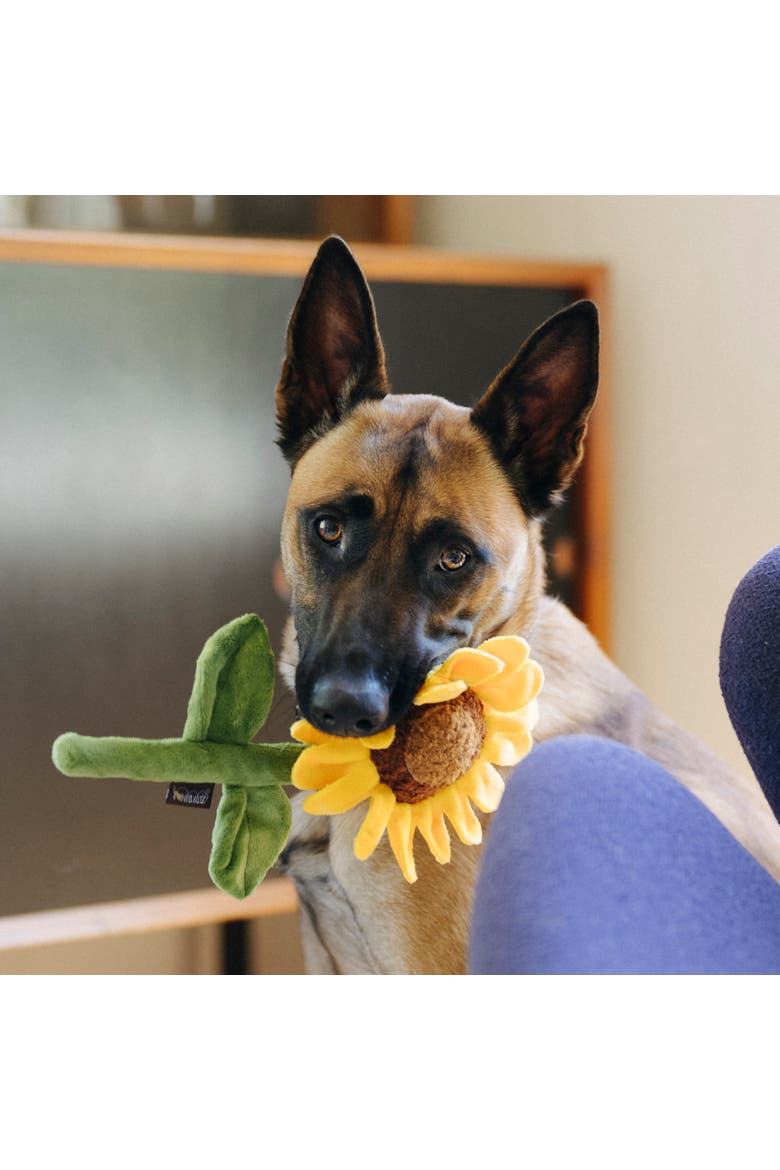 Blooming Buddies Sassy Sunflower Plush Dog Toy, Alternate, color, Multicolored