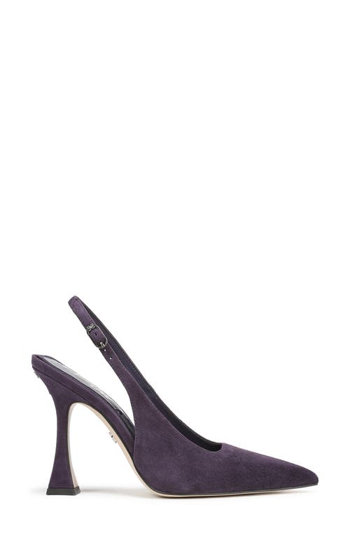 Sam Edelman Odette Pointed Toe Slingback Pump In Purple