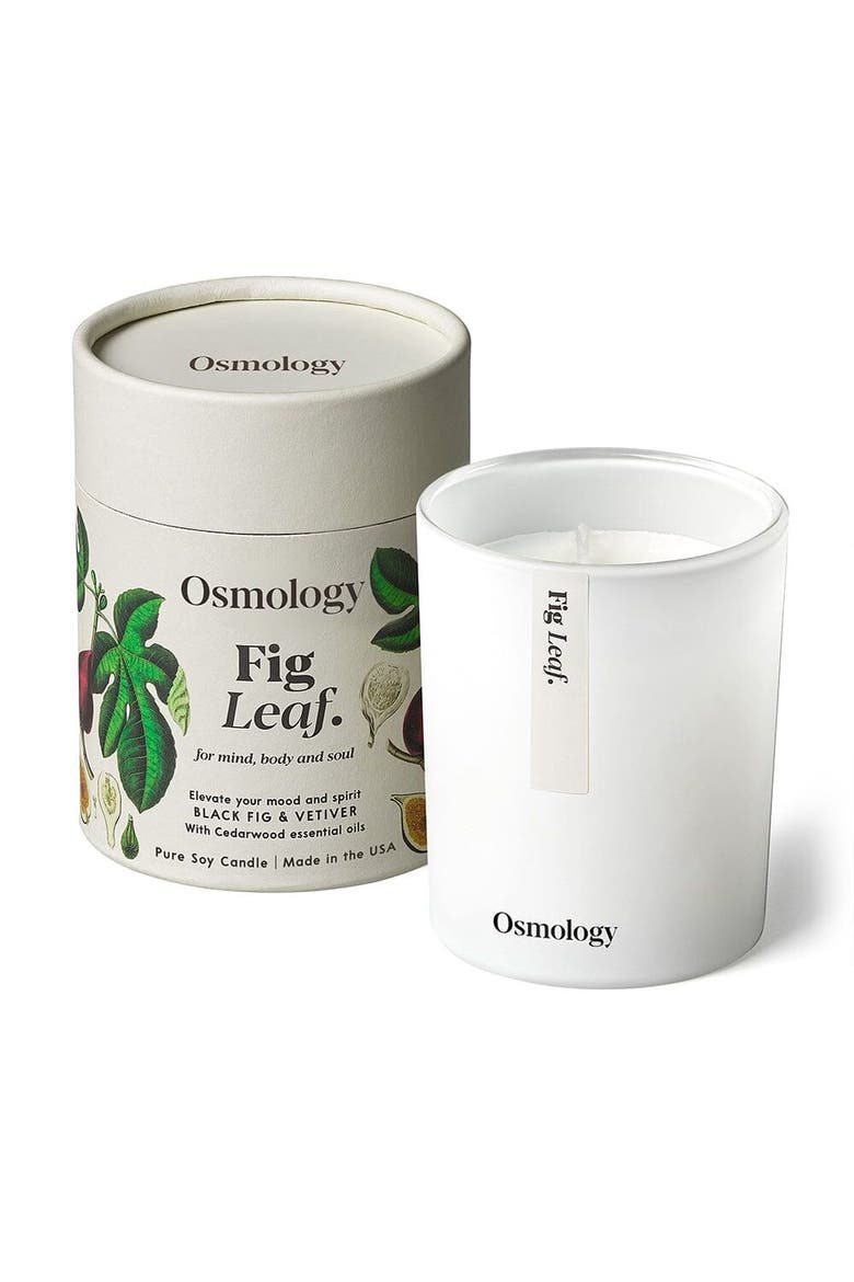 Fig Leaf Scented Candle - Black Fig Vetiver and Cedarwood, Main, color, white