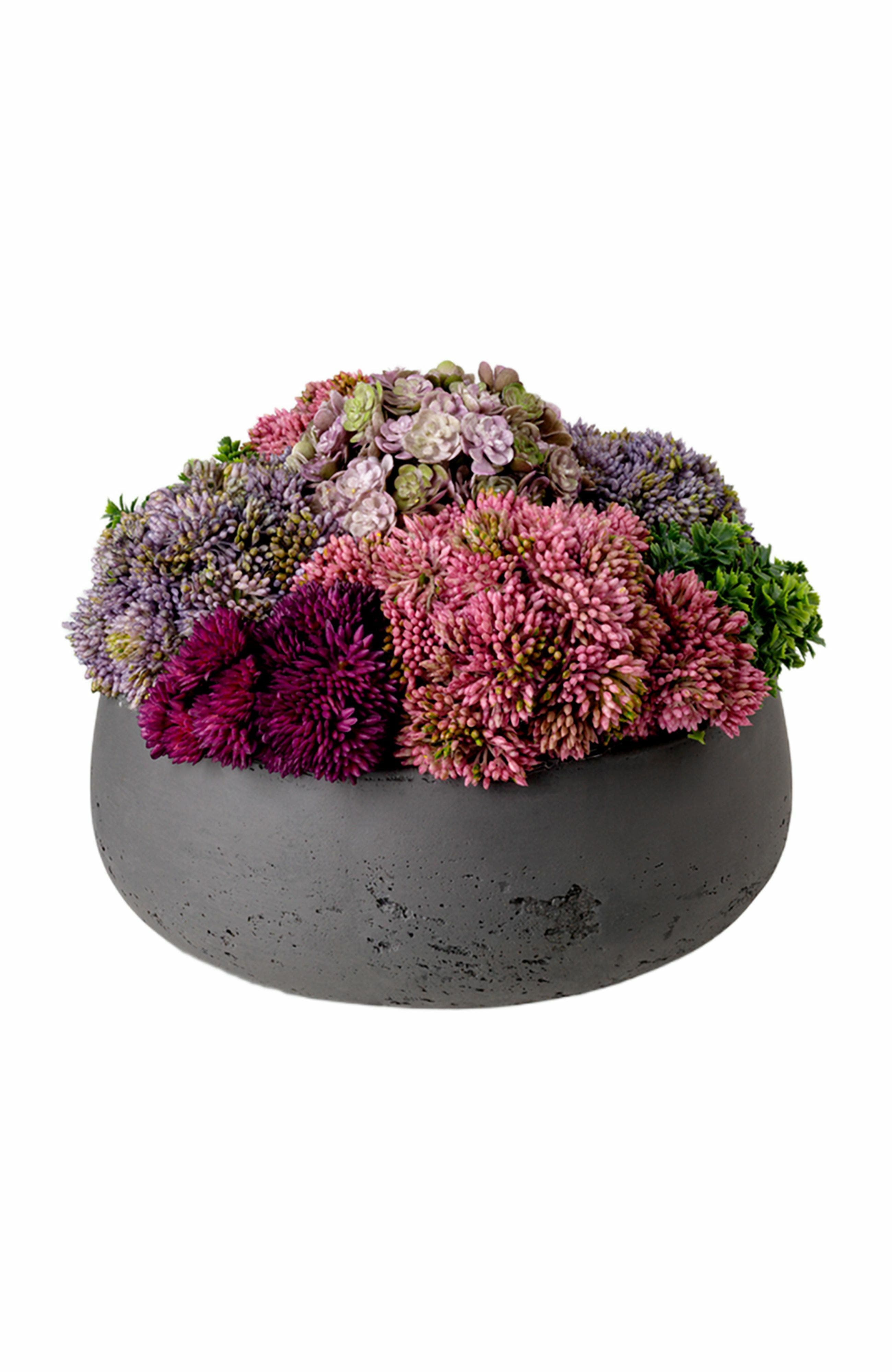 CocoBella Georgina Sedum Arrangement in Charcoal 