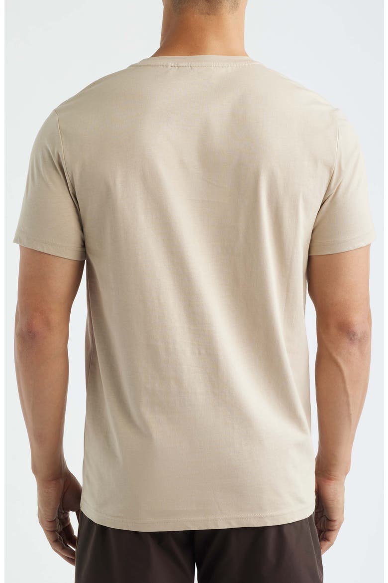 Graphic T-Shirt, Alternate, color, LIGHT BEIGE