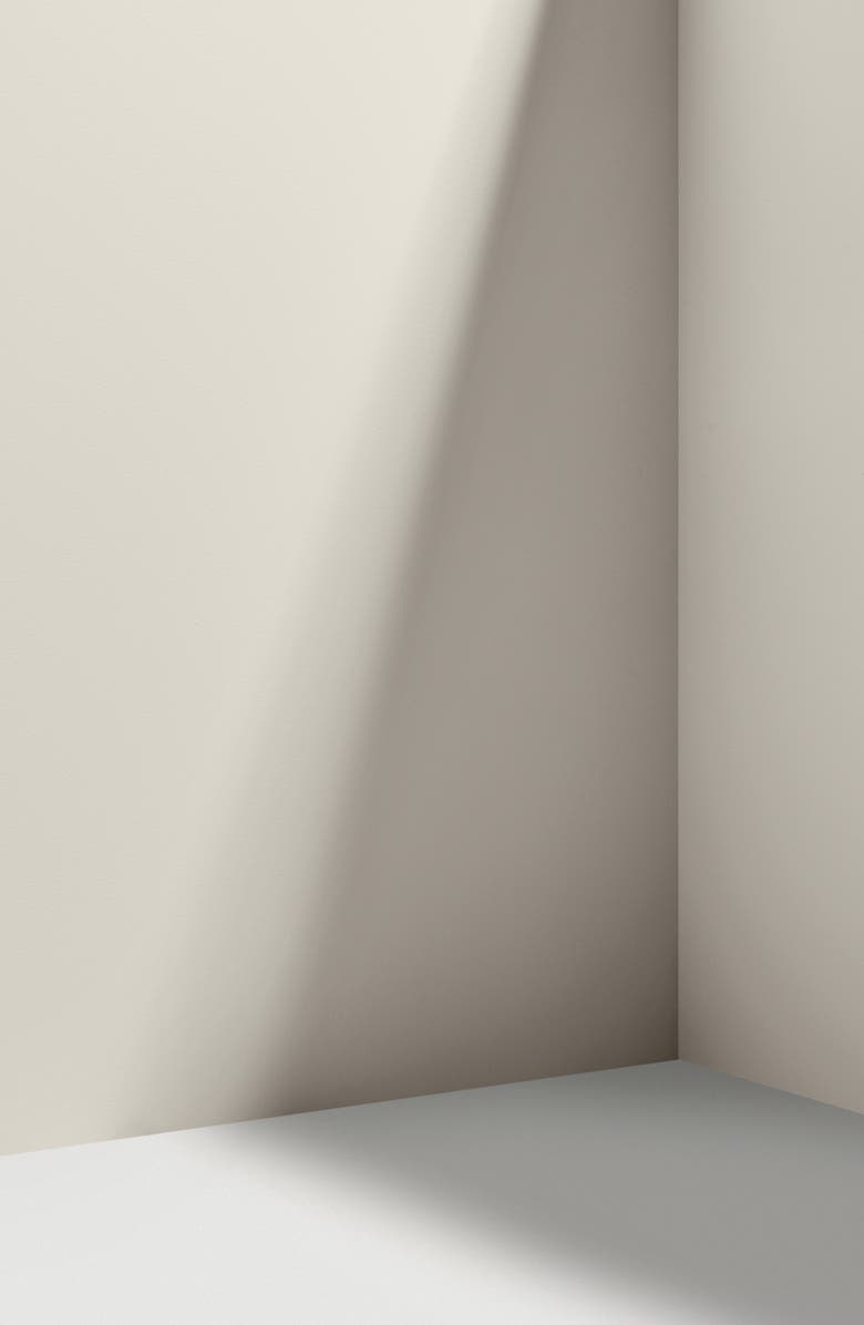 Backdrop Standard Finish Semi Matte Interior Paint, Alternate, color,