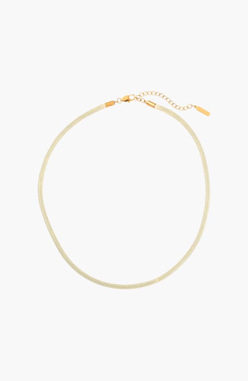 Joiana Jewelry The Cord Necklace in Oat at Nordstrom