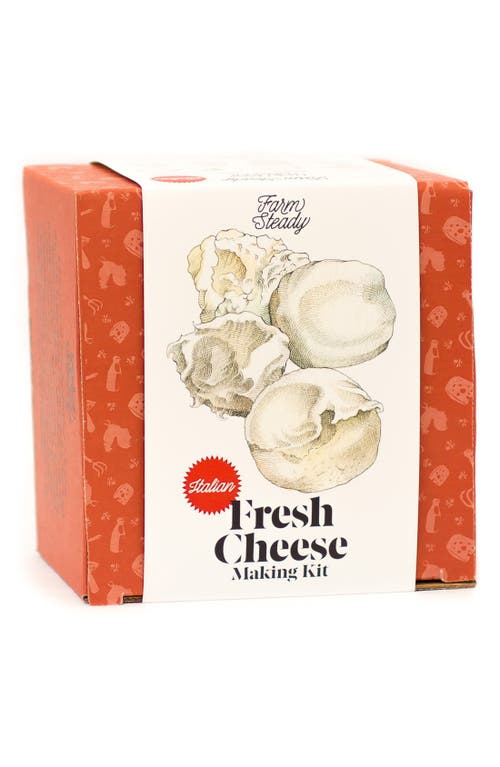 Brooklyn Brew Shop FarmSteady Fresh Cheese Making Kit in Red  product
