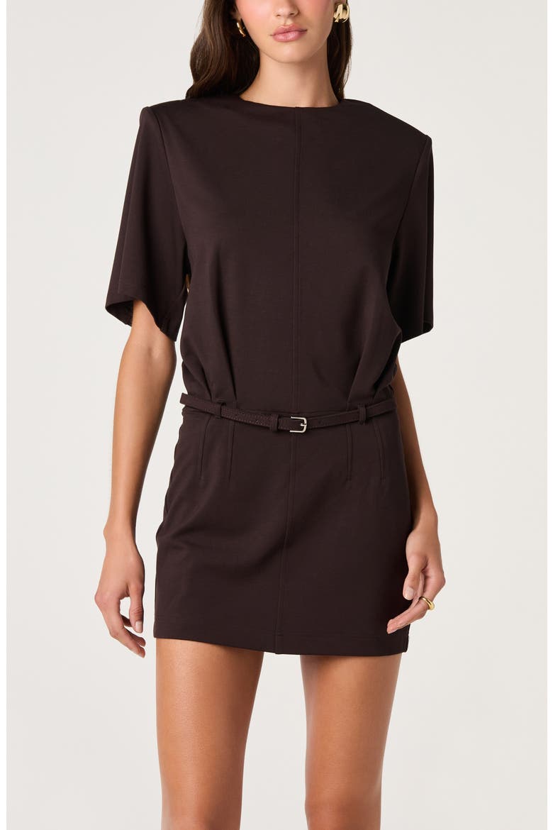 Carlreca Belted Minidress, Alternate, color, DARK BROWN