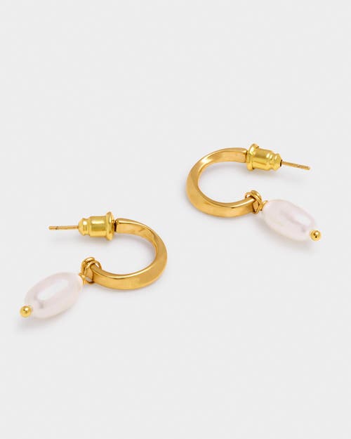 Katie Loxton Pearl Lustre Hoop Earrings In Gold