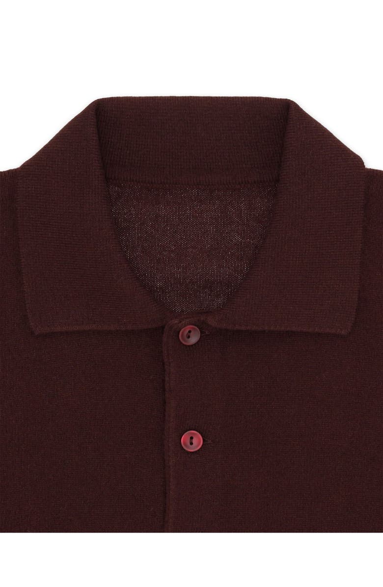 Fortela Kenneth Cashmere Polo, Alternate, color, Brown