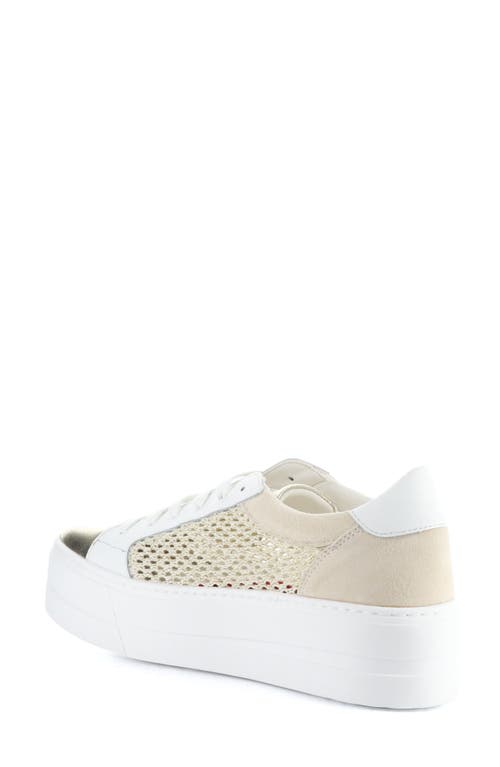 Bos. & Co. Marlo Platform Sneaker In Gold/white