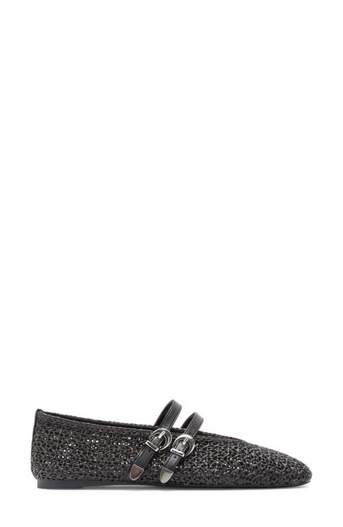 Steve Madden Laney Ballet Flat In Black