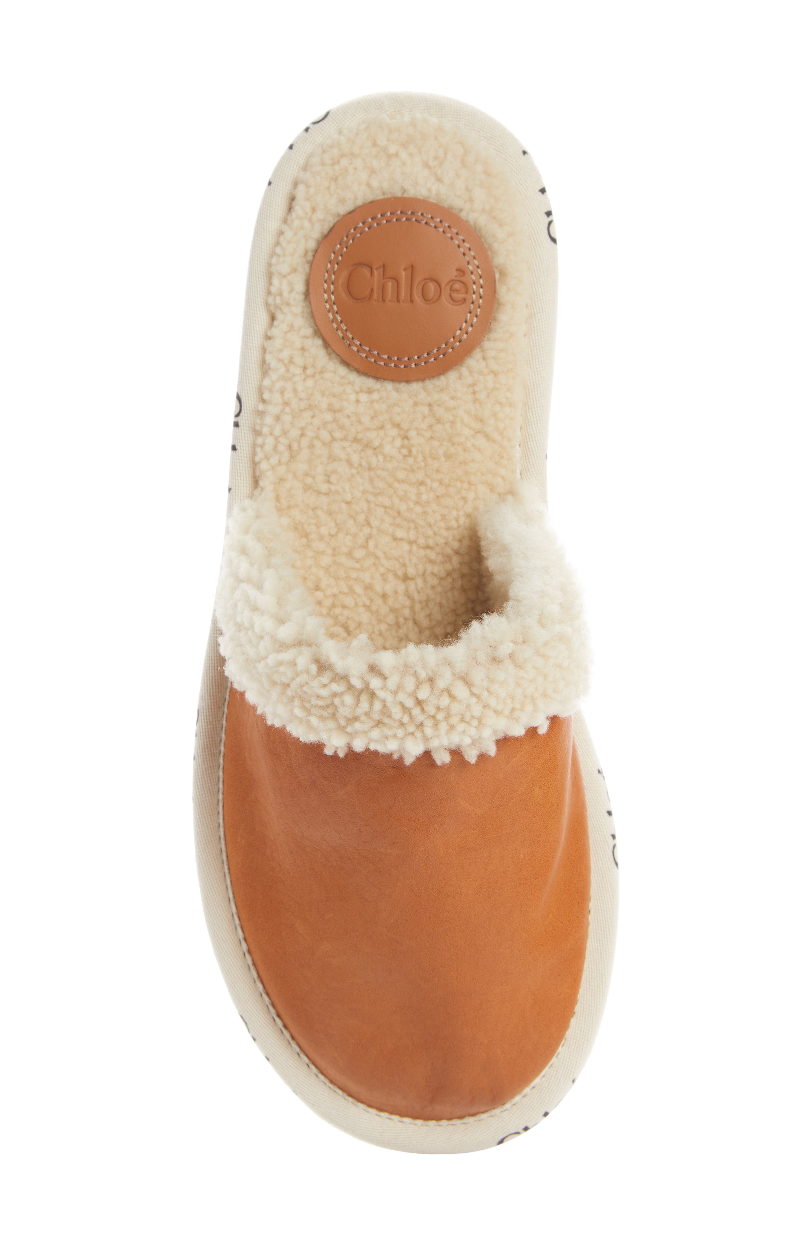 Chloé Woody Genuine Shearling Lined Mule, Alternate, color, 