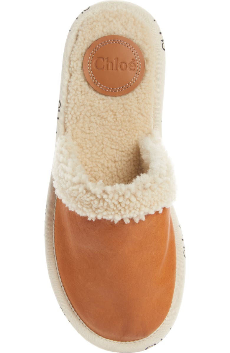 Chloé Woody Genuine Shearling Lined Mule, Alternate, color,