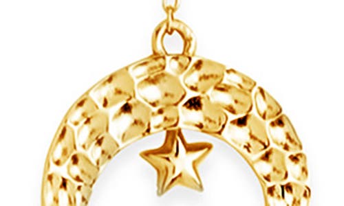 Sterling Forever Selene Lariat Pendant Necklace In Gold