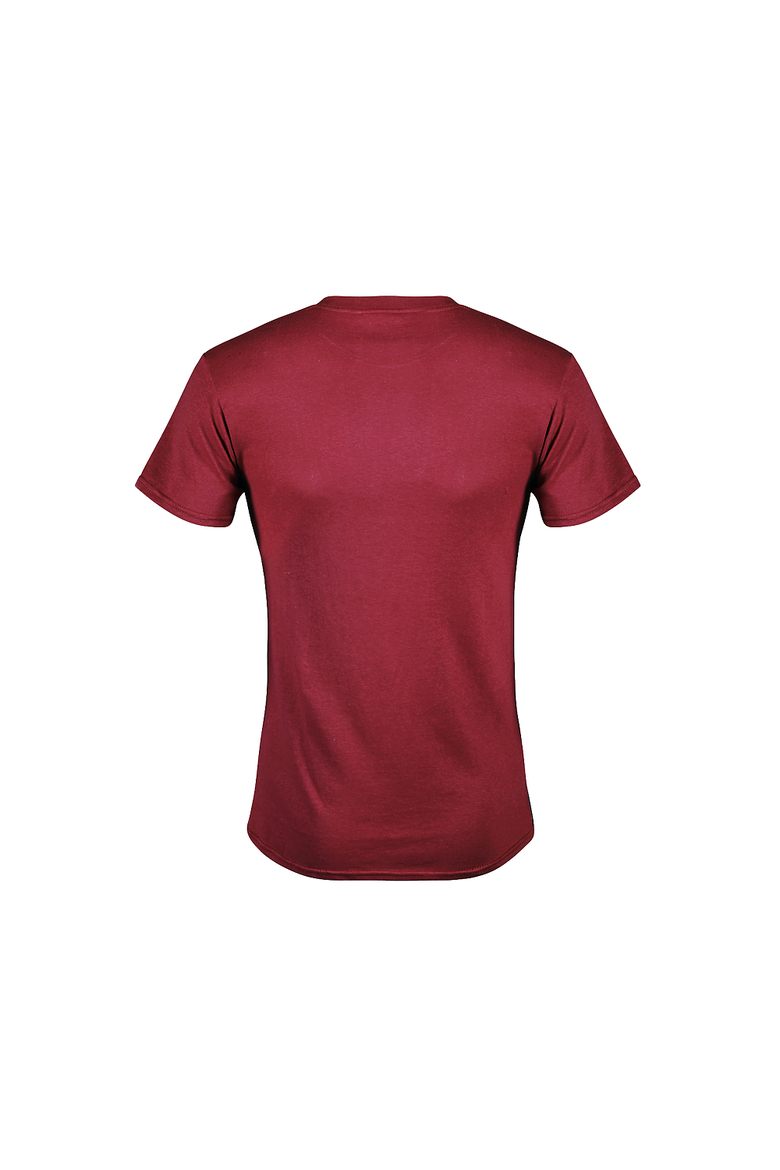 Men's Harry Potter Gryffindor Quidditch Gold Team Seeker  Graphic T-Shirt, Alternate, color, Cardinal