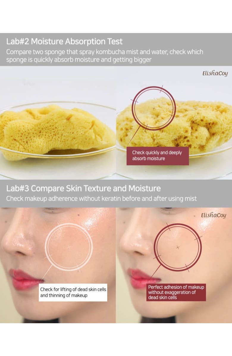 Siia Cosmetics Kombucha Gyeol-Biome Mist, Alternate, color, NO COLOR