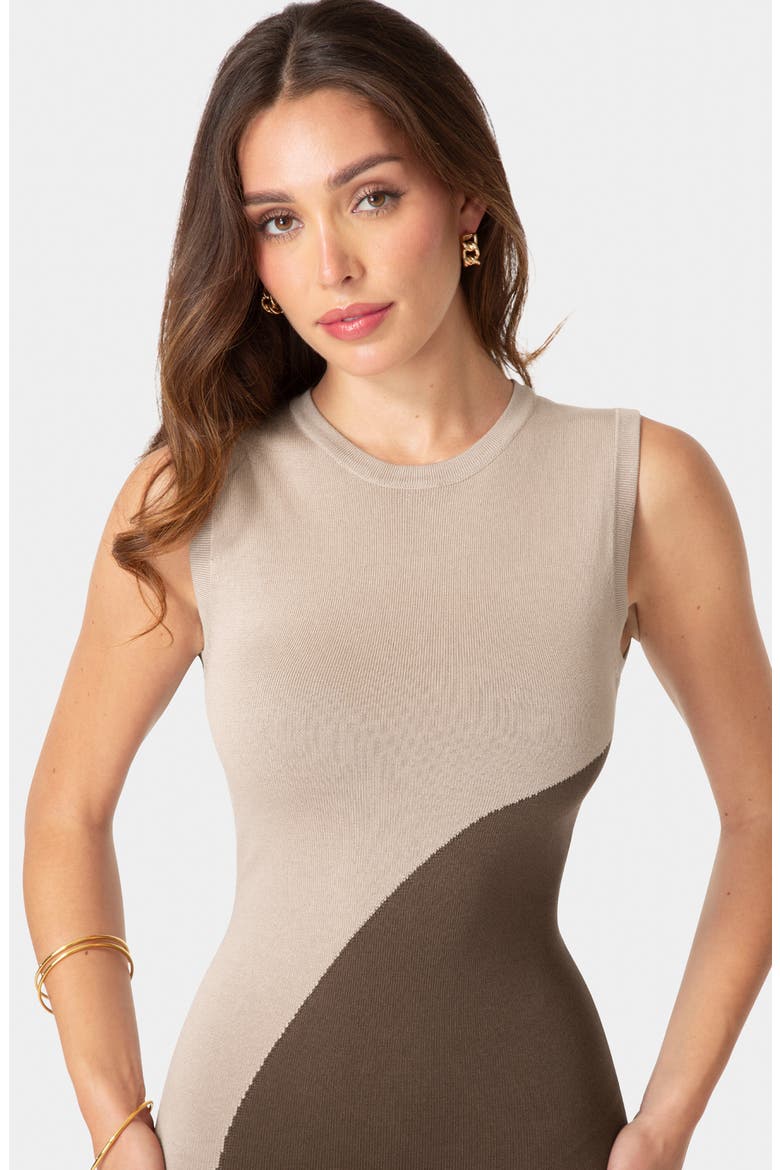Colorblock Sleeveless Maxi Sweater Dress, Alternate, color, NUDE CHOCOLATE