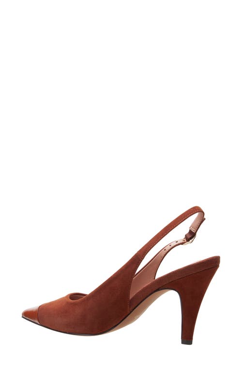 Linea Paolo Niyka Pointed Toe Slingback Pump In Brown