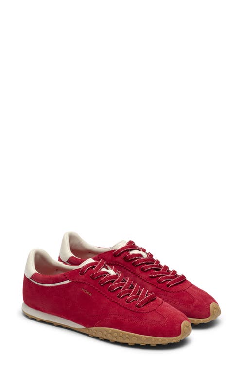 HOFF Gender Inclusive Bridge Sneaker in Red at Nordstrom, Size 37