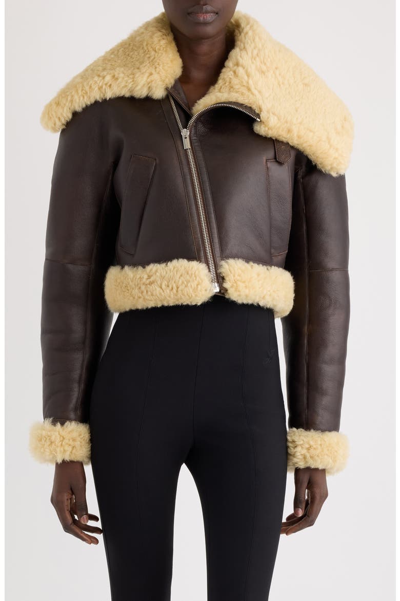 The Aviatore Asymmetric Aviator Jacket, Main, color, DARK BROWN