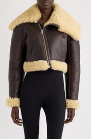 Jacquemus The Aviatore Asymmetric Aviator Jacket