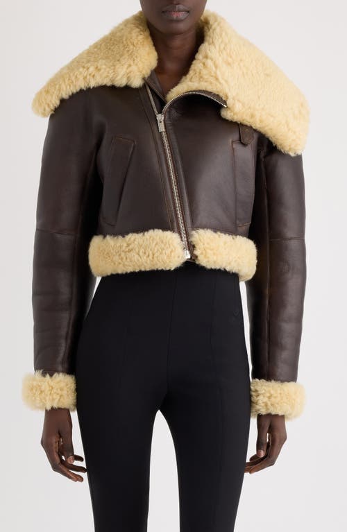 Jacquemus The Aviatore Asymmetric Aviator Jacket In Brown
