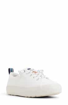 Sperry Cove Lace-to-Toe Sneaker