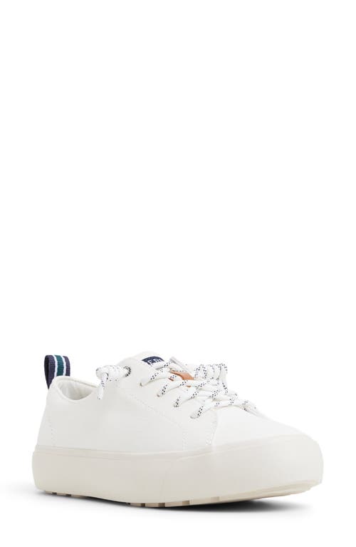 Sperry Cove Lace-to-toe Sneaker In White