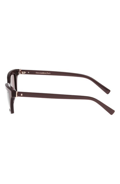 Abercrombie & Fitch 52mm Cat Eye Sunglasses In Brown