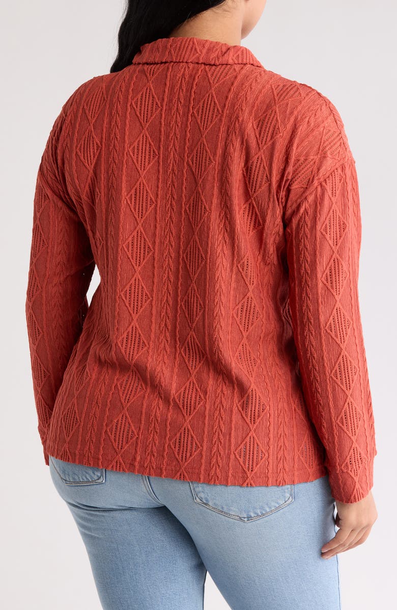 Forgotten Grace Crochet Long Sleeve Button Front Blouse, Alternate, color, Rust