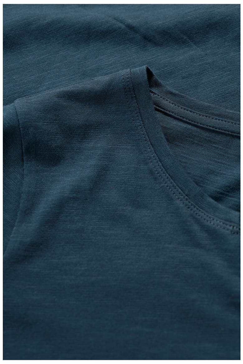 Kellow V-Neck Organic Cotton T-Shirt, Alternate, color, MARITIME
