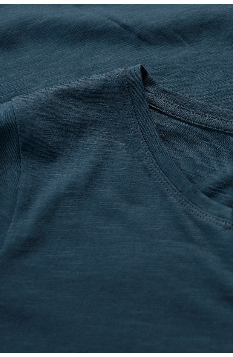 Seasalt Cornwall Kellow V-Neck Organic Cotton T-Shirt, Alternate, color,