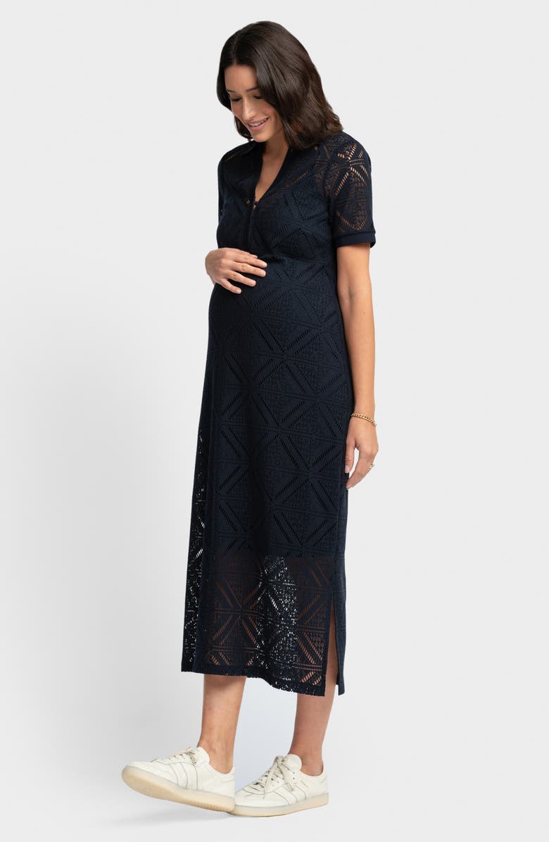 Seraphine Knit Nursing Maternity Dress, Alternate, color, 