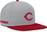 Nike Men's Nike Gray/Red Cincinnati Reds Primetime Pro Dri-FIT Snapback Hat