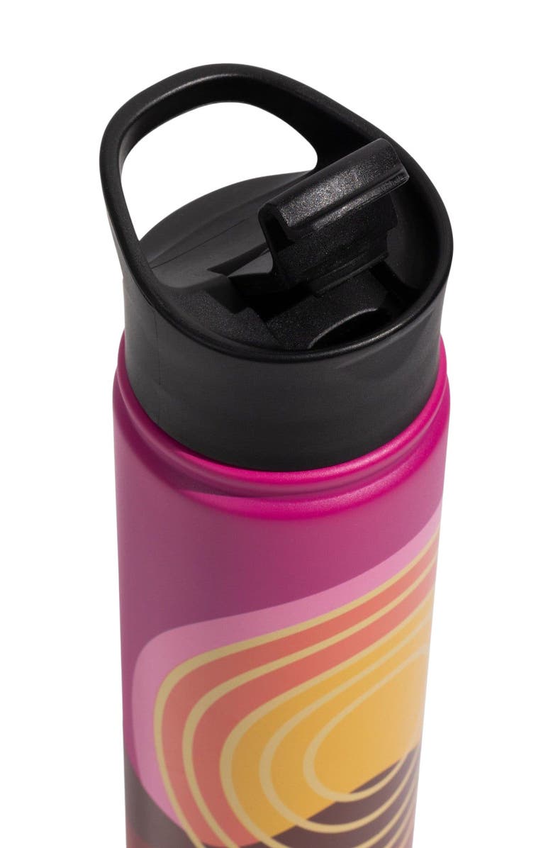 United By Blue 22 OZ Sunset Mountains Steel Bottle, Alternate, color, Beet Root