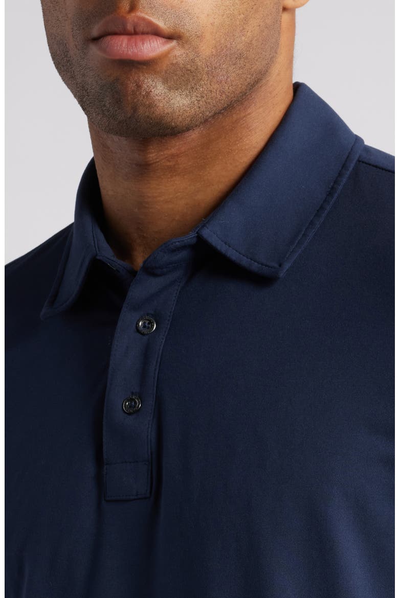 Luxe Jersey Long Sleeve Polo, Alternate, color, STARGAZER