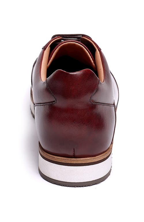 A. Veer Brooklyn Sneaker In Brown