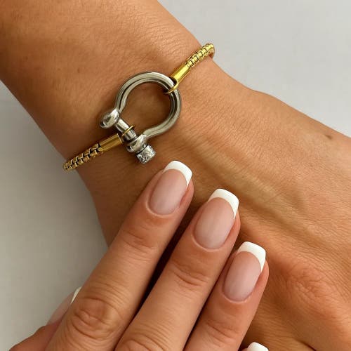 Hollywood Sensation The Lucky Lock Horseshoe Carabiner Clasp Bracelet In Gold