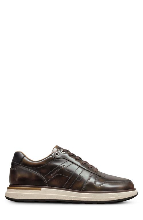 Allen Edmonds Elliot Sneaker In Antique Bronze