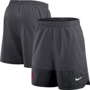 Nike Men's Nike Anthracite Washington State Cougars 2025 Sideline Performance Shorts