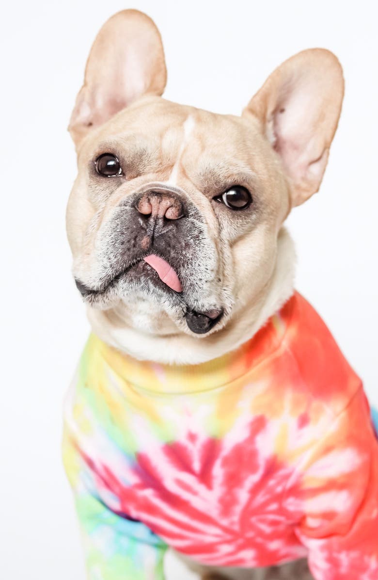 LoveThyBeast Rainbow Tie-Dye Dog Tee, Main, color,