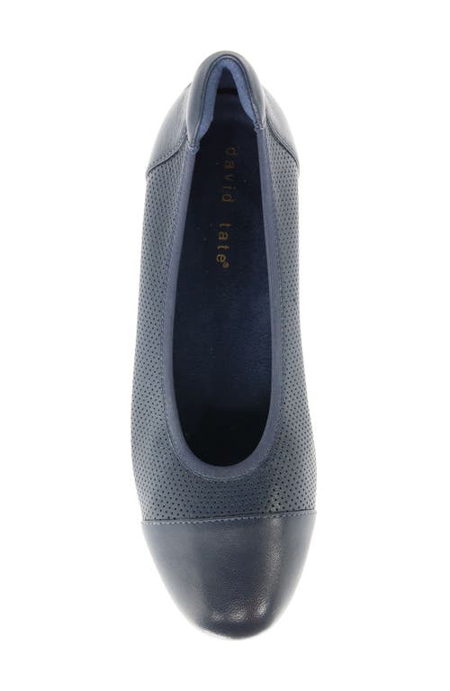 David Tate Newton Cap Toe Flat In Navy