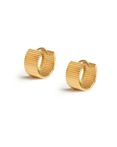 Zarux Golden Halo Hoops 8mm In Gold