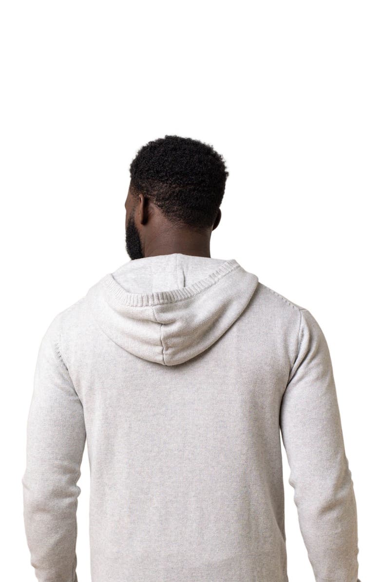 Hope & Henry Men's Organic Henley Sweater Hoodie, Alternate, color, 