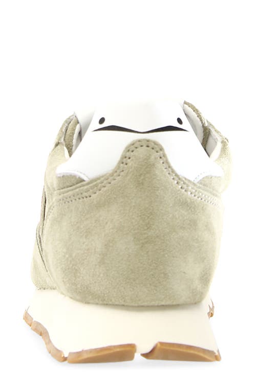 Voile Blanche Julia Sneaker In Pale Sage