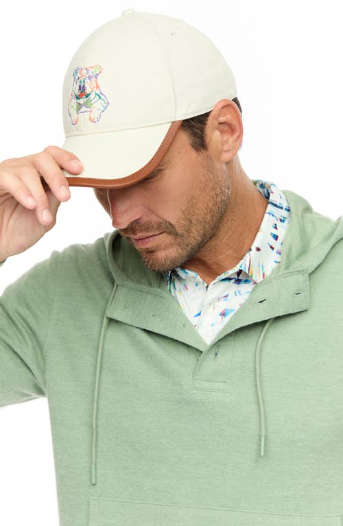 Robert Graham Bolton Hooded Knit Pullover In Green