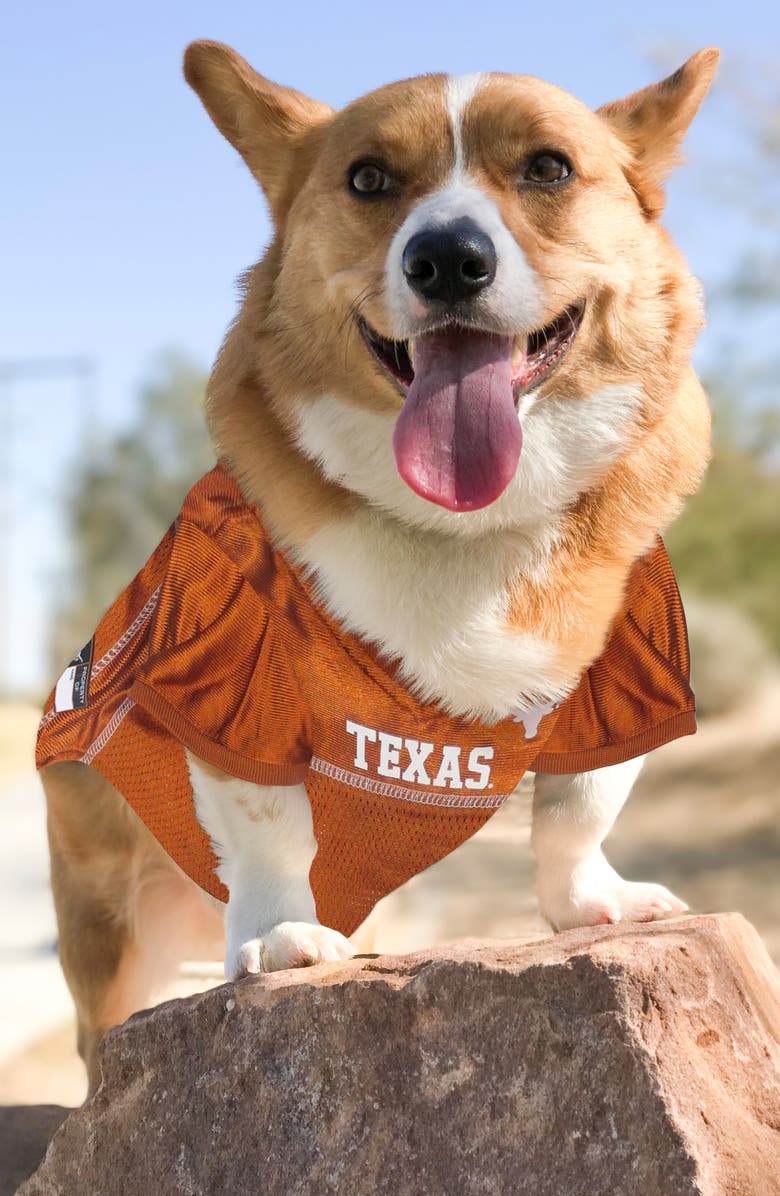 PETS FIRST Texas Longhorns Basketball Mesh Dog Jersey, Alternate, color, Orange