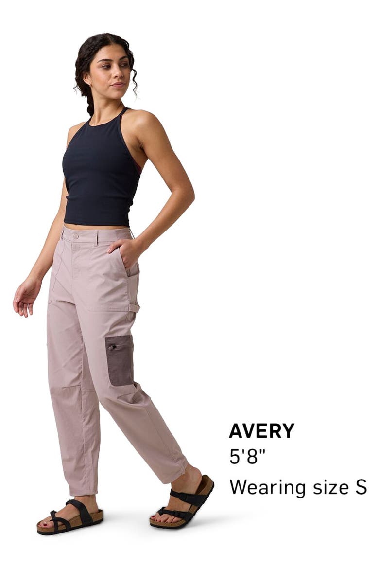 Wasatch Ripstop Cargo Pant - Women's, Main, color, Bark/Granite Plum