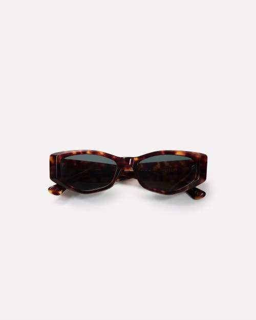 Epokhe Guilty Sunglasses In Brown