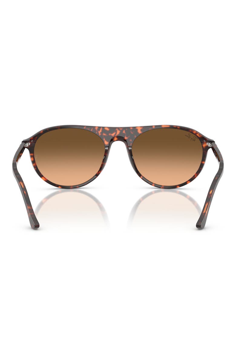 56mm Round Sunglasses, Alternate, color, RED HAVANA