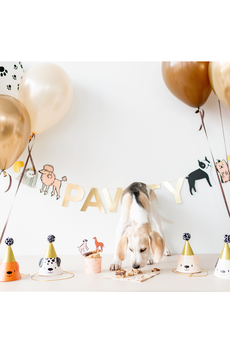 Daydream Society Bow Wow Party Hats, Alternate, color, Assorted Pre-Pack