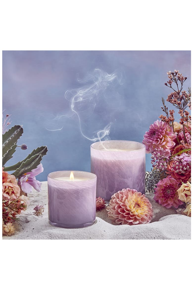 Midnight Cactus Signature Candle, Alternate, color, MIDNIGHT CACTUS